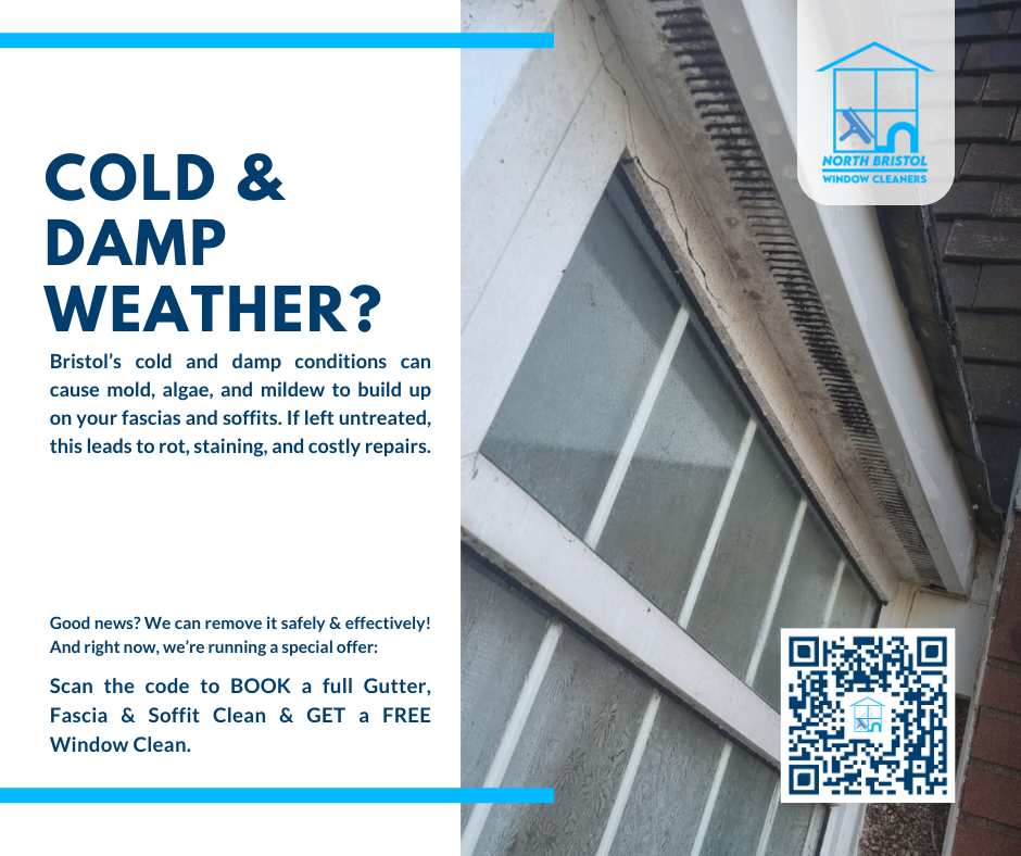 Prevent Costly Gutter Repairs: Top 4 Benefits of Gutter Maintenance and Why You should Not Neglect It 3 An image of fascia and soffit full of dirt, mildew, and molds.