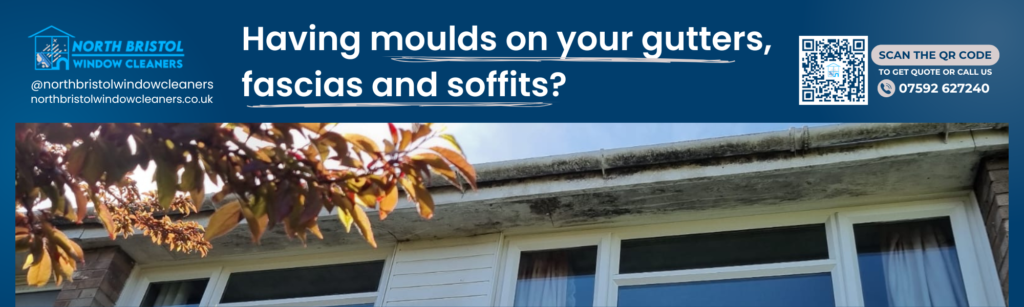 an image of a mouldy gutters, fascia and soffits in Bristol