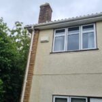 An image of a cleared fully grown plant on a gutter