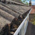 An image of a clogged gutter