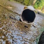 An image of a clogged downpipe