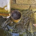 an image of a clogged downpipe of a residential house in Bristol