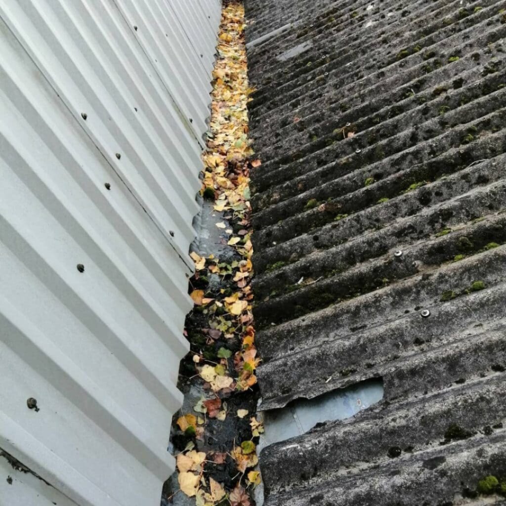 an image of Commercial Gutter of a warehouse full of dried leaves